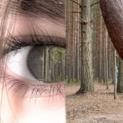 wahnsinnig