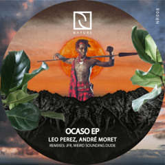 PREMIERE: Leo Perez, André Moret - Sol Da Meia Noite (JFR Remix) [Nature Rec]