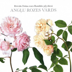 Ieva Rupenheite - Angļu rozes vārds