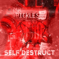 SELF DESTRUCT [Prod.tenoji + xanyxrd]