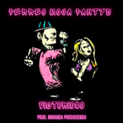 PERREO MOJA PANTYS