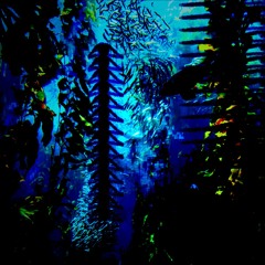 Nuroom (Awaqwa) 🐠🪸 ||nuv