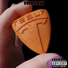 Tesla SlimmyRaw x Bobby