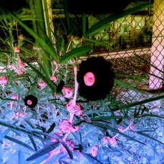 L.J.N.B --- 3000  BEATby CSB