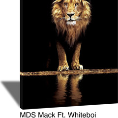 MDS Mack Ft. Whiteboi (Jumanji)