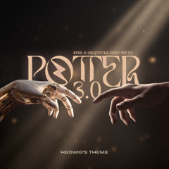 Potter 3.0 - Hedwig’s Theme (Radio Mix)