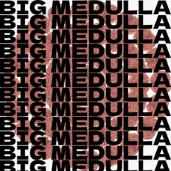BIG MEDULLA