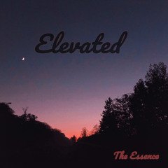 Fire It Up (Bonus) (Busta Rhymes)