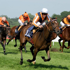 Galopp auf der Rennbahn 01