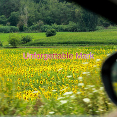 Unforgettable Mark