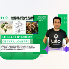 Cyril Lombard - Billet d'humeur du 18 novembre 2025