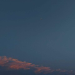 스물다섯 스물하나 (김윤아) - bin (2022).mp3