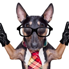 MEME FUNK [Ultra Slowed] Ponos Deda (Remix) x Clarity. Anapa 2008