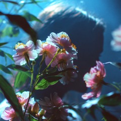 Blooming