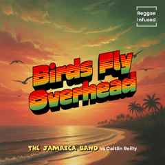 The Jamaica Band vs Caitlin Reilly - Crisp Clean Sound - Reggae EDM Radio Edit