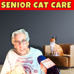The Pet Show 052425
