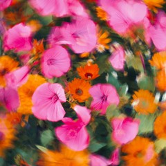 Wren Evans - Từng Quen