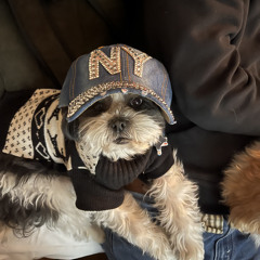 the matrix (prod me)