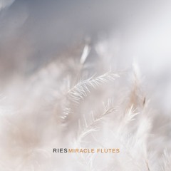 Calming Tones (Forest Ambience)