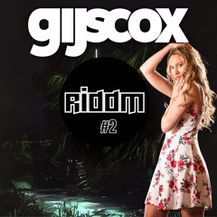 GIJS COX - RIDDM #2