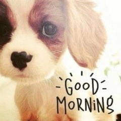 громкие +@hatepfizer prod @chroniclesevenn