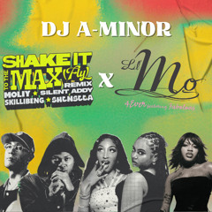 Shake it to the Max / 4 Ever (Mash-Up)