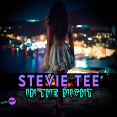 StevieTee - In the Night - Coming Soon to DNZ records