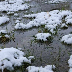 It's Not Snow Unless It Sticks