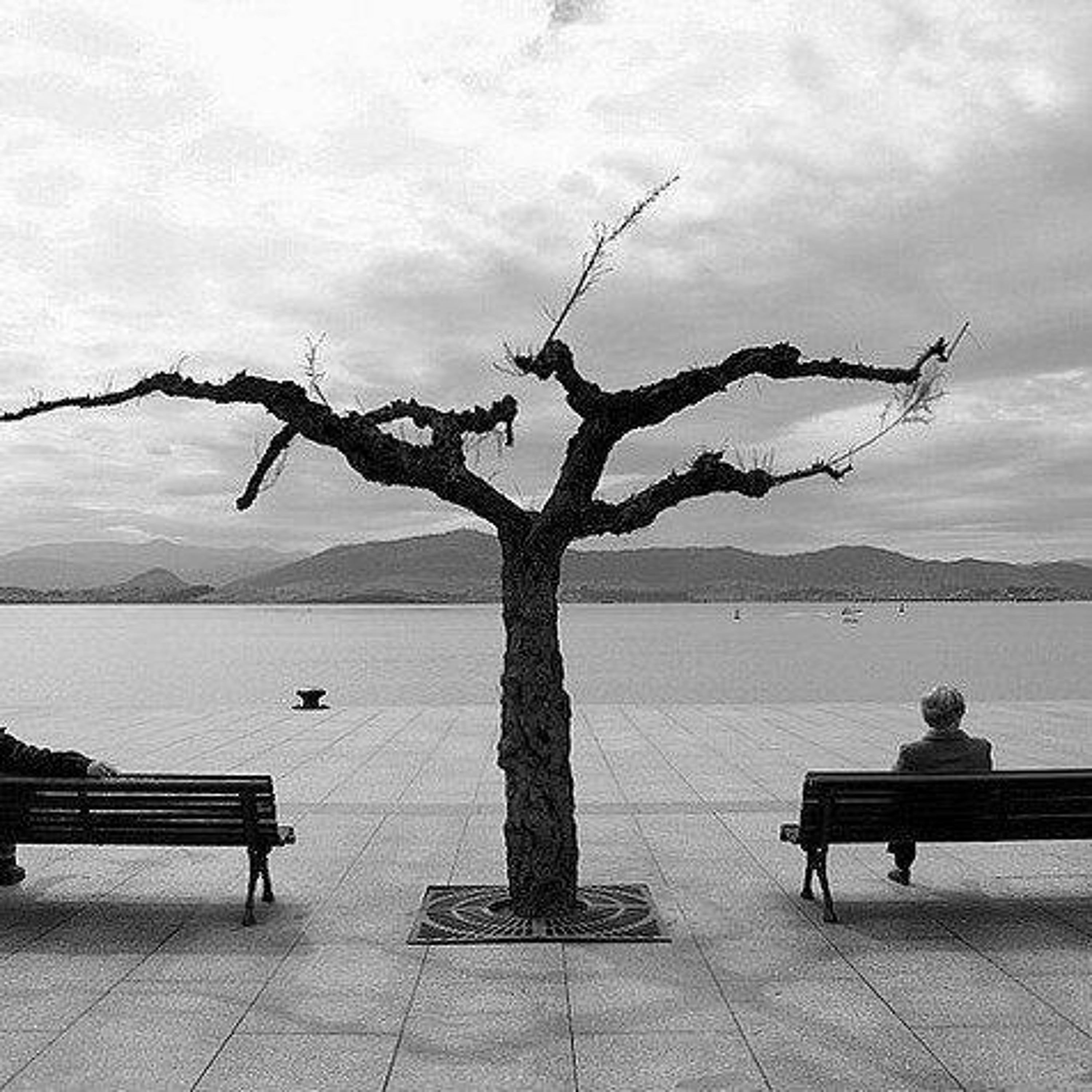 Suicide Fun (shurkin)