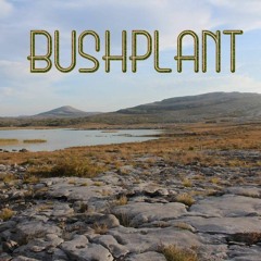 04 the rivers are turning black