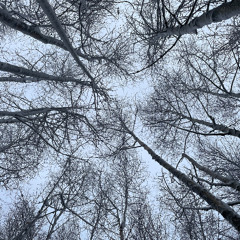 hendrik meyer - wir waren im regen