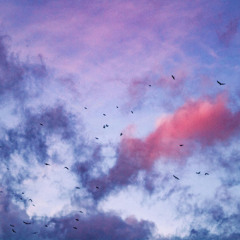 Skylark (by Emily Hawkins and Lauren Finch)