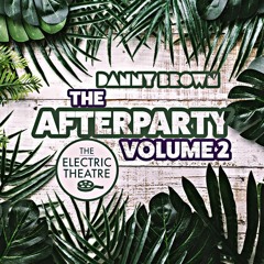 THE AFTERPARTY MIX || VOLUME 2 || DANNY BROWN