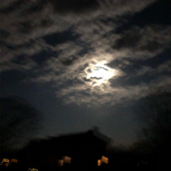 Not The Only One (p. Venus & Owxn)