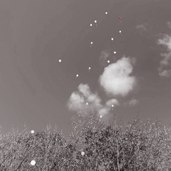 Fly