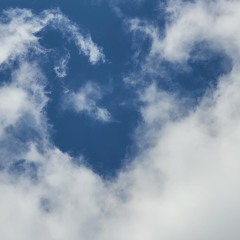 surrealistically schooley rd