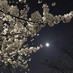 xaa-xaa – anata wa kitto uwaki shi teru