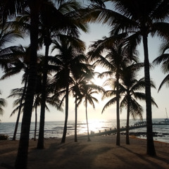 Psychelic Trance Session 1