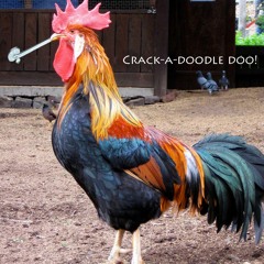 Polly Wanna Crackie (Original Mix)