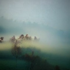 handfuls of mist