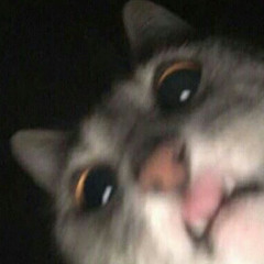 عمرو دياب- ليه