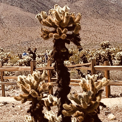 01 behind the wheel 2 depeche mode cover FORD ft. JORI