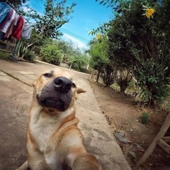 (cut) bắt con ốc - win