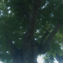 Hashirimizu (走水) | Yamafutatsu