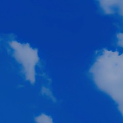 Why - Kyara Friedman