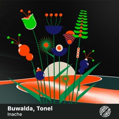 Buwalda, Tonel — Inache