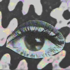 NISSIN - EGO