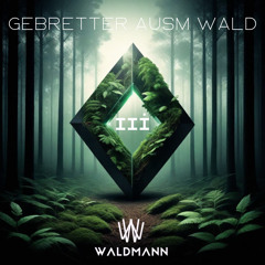Gebretter ausm Wald III // 151-155 BPM Hardtechno Set // Waldmann