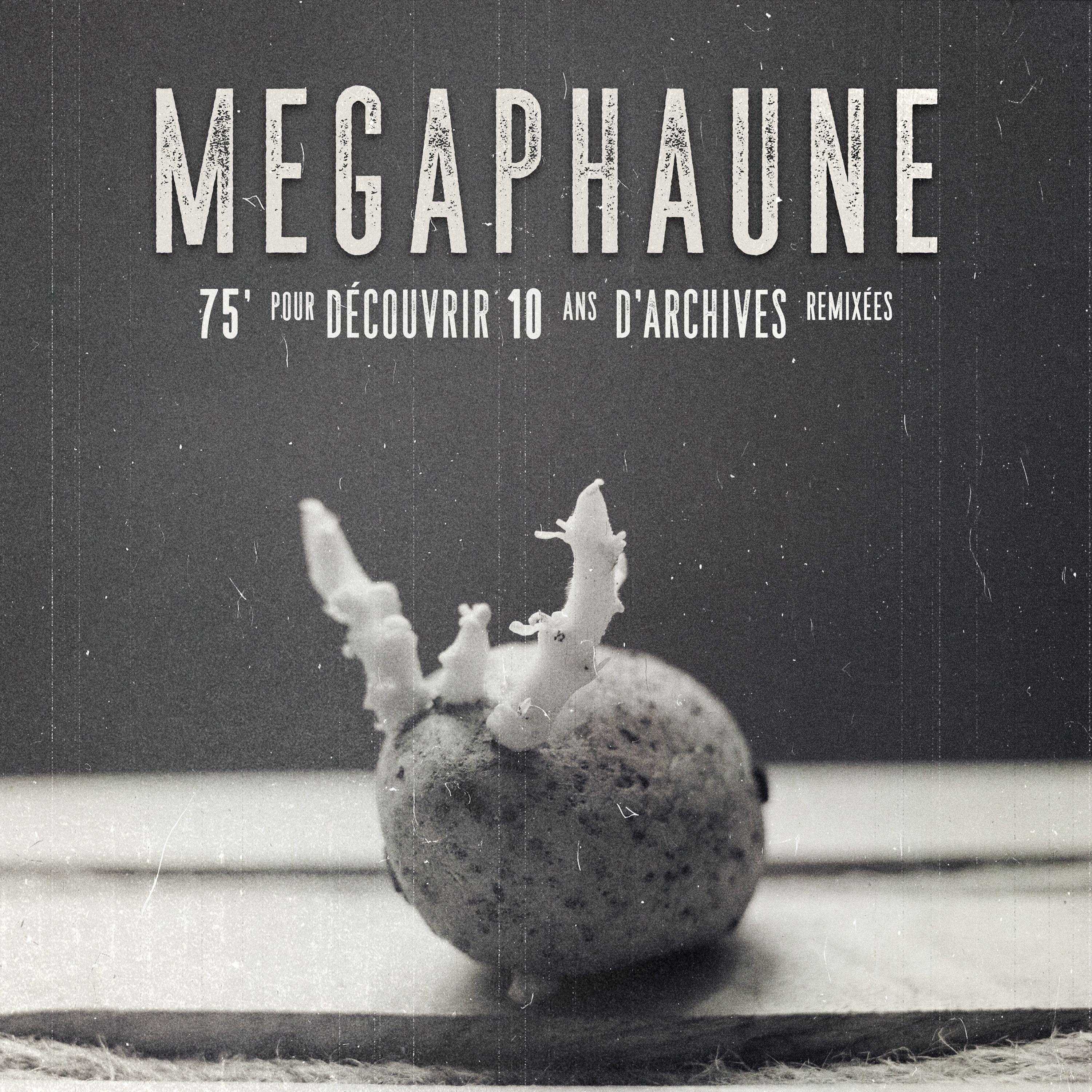 Phaune Radio