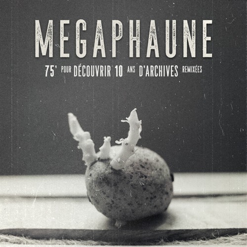 What The Phaune #10 - Megaphaune